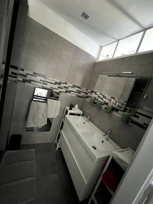 Appartement F5 Maison De Maitre Mulhouse Ngoại thất bức ảnh
