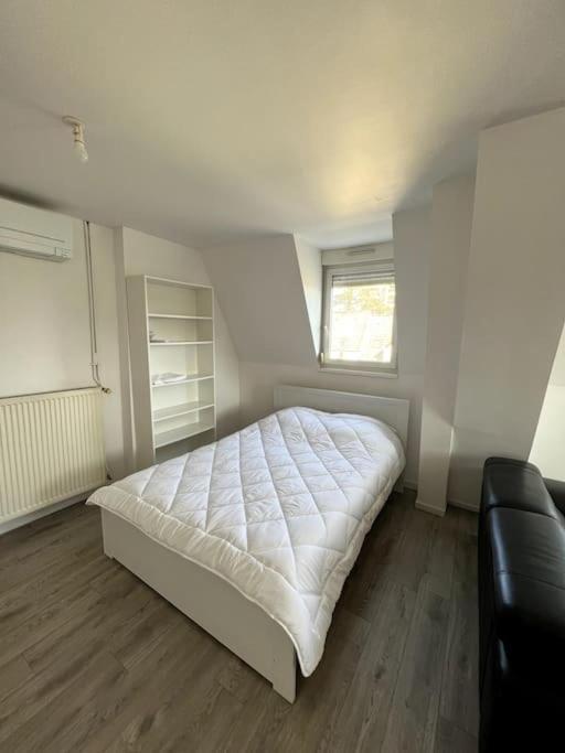 Appartement F5 Maison De Maitre Mulhouse Ngoại thất bức ảnh