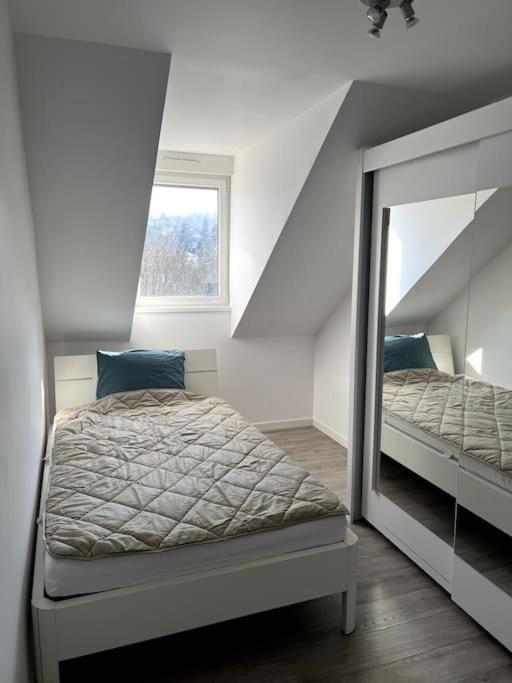 Appartement F5 Maison De Maitre Mulhouse Ngoại thất bức ảnh