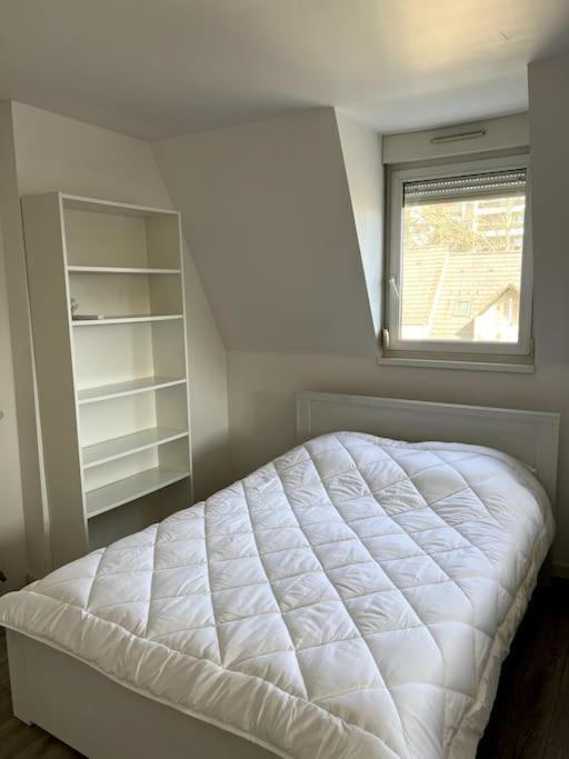 Appartement F5 Maison De Maitre Mulhouse Ngoại thất bức ảnh