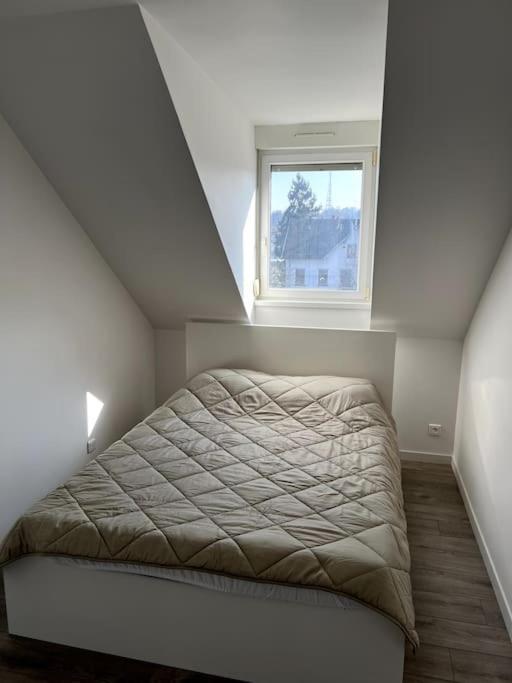 Appartement F5 Maison De Maitre Mulhouse Ngoại thất bức ảnh