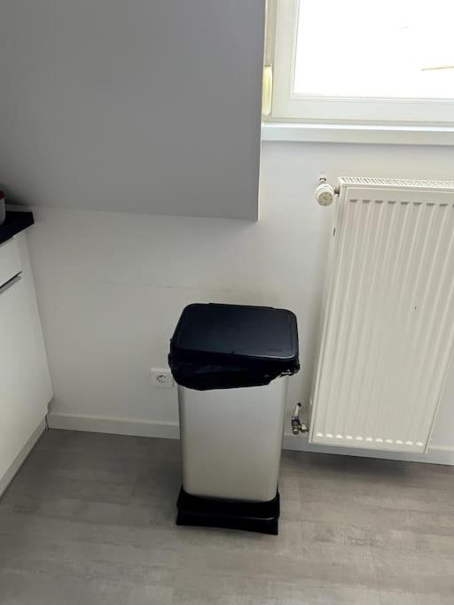 Appartement F5 Maison De Maitre Mulhouse Ngoại thất bức ảnh